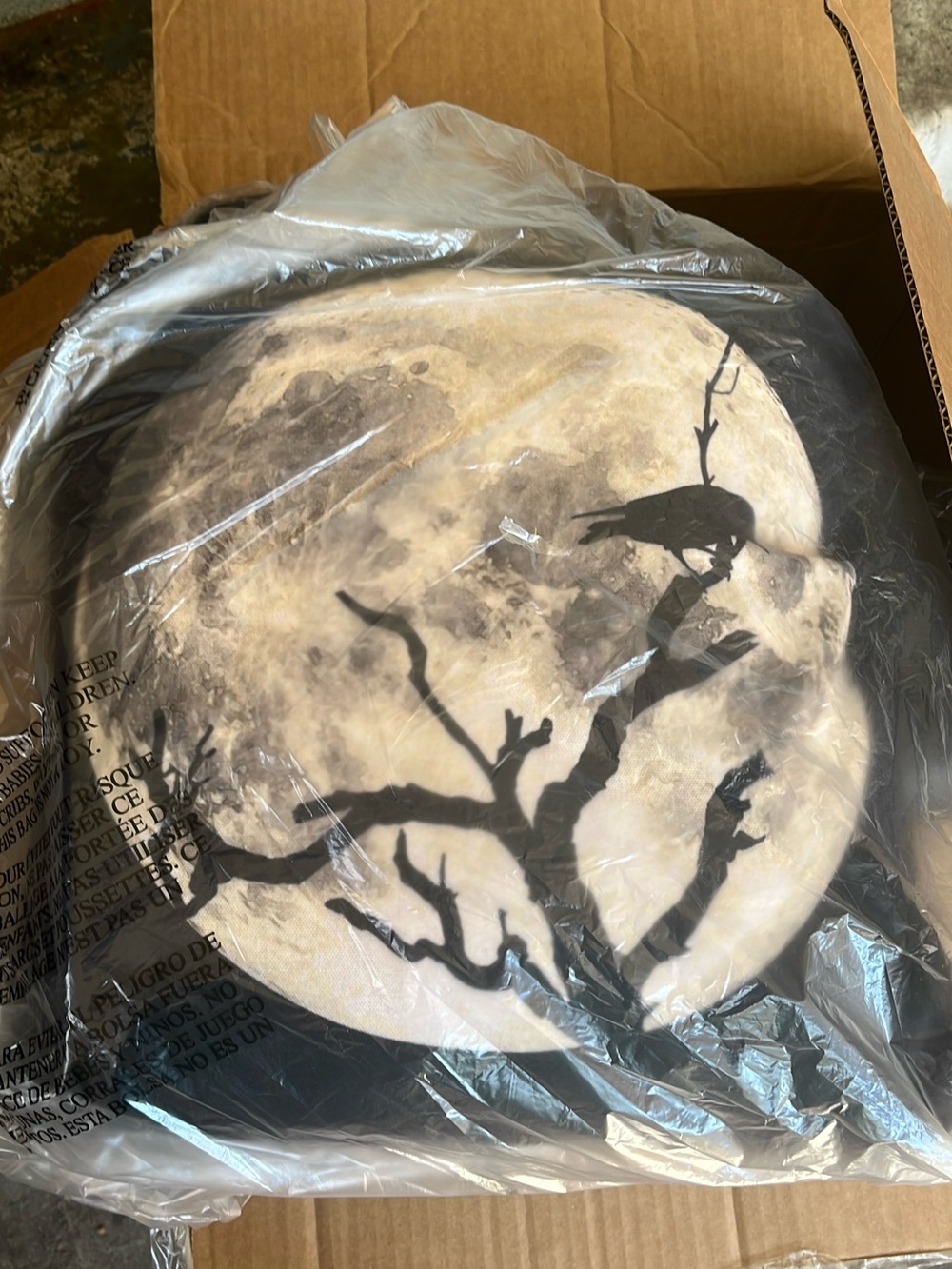 Full Moon Raven Graphic Pillow - Black and Cream